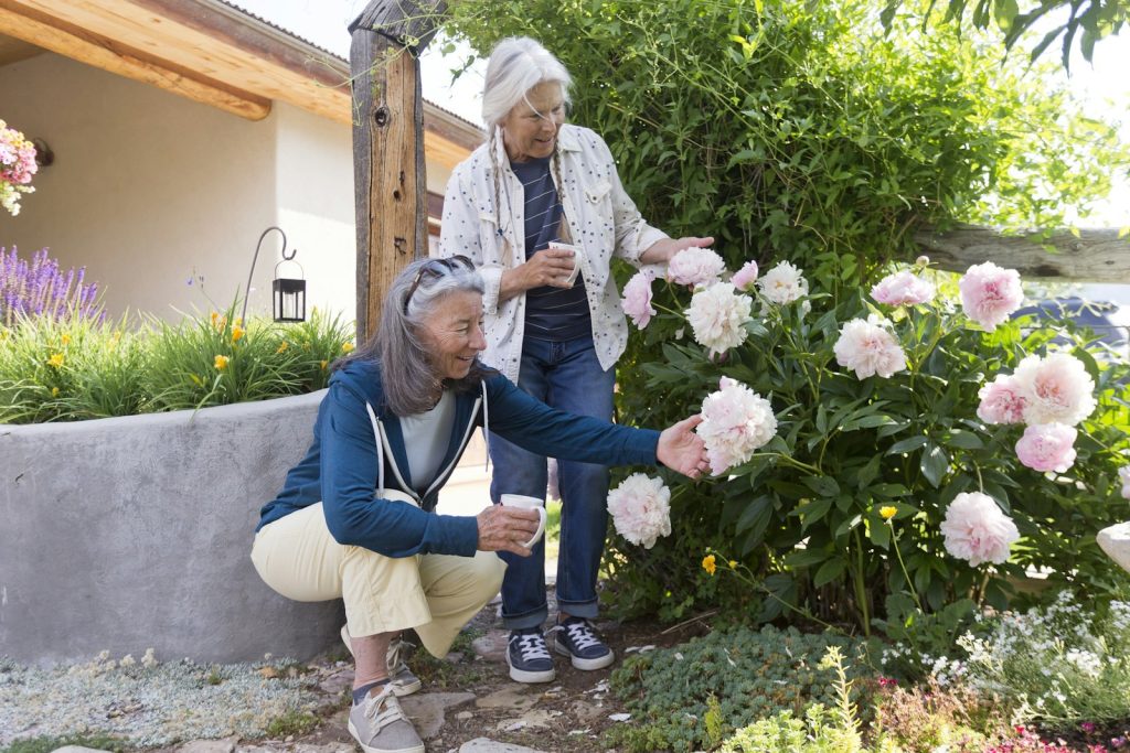Two older women admiring pink roses in a garden, a calm outing during dementia home care in Plantation