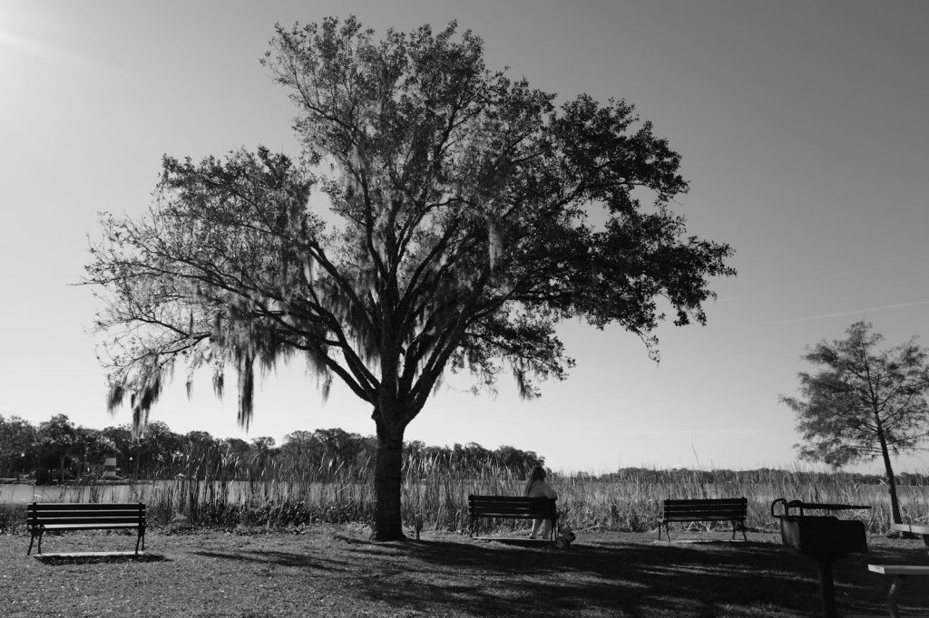 A companion providing dementia home care in Bonita Springs, walking an older man to his community clubhouse