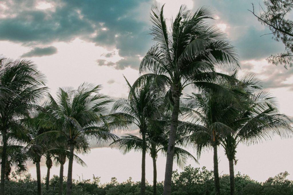 A go-bag with medicines, documents and comfort items packed for hurricane season and dementia care