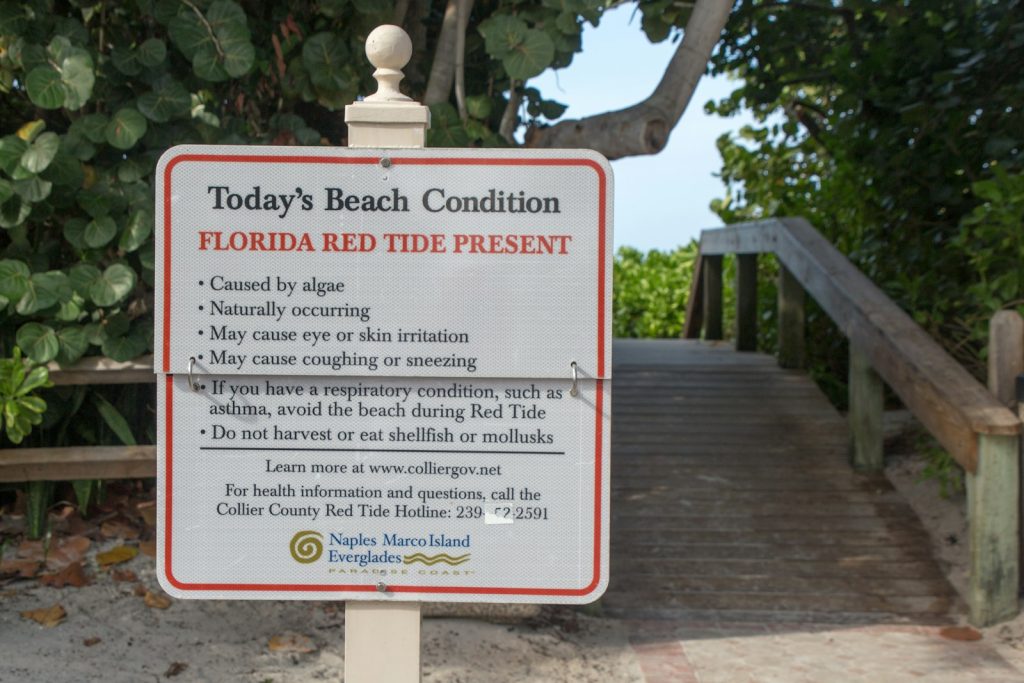 A companion providing dementia home care in Marco Island, having coffee with an older man on a lanai
