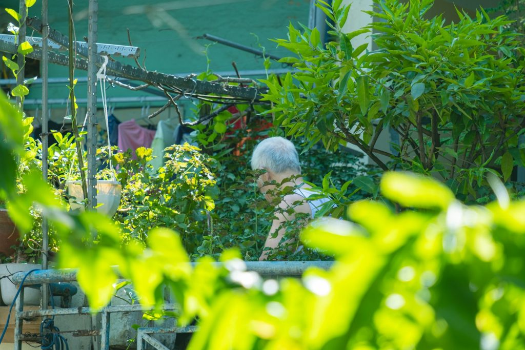 Keeping a daily routine with dementia: a companion and an older man setting the table for lunch